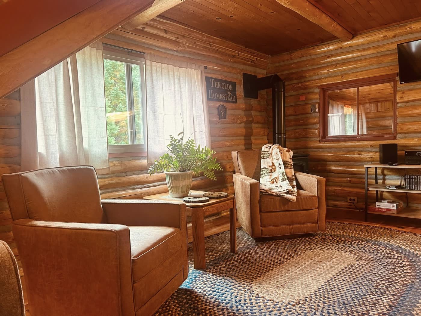 Cabin living room with armchairs